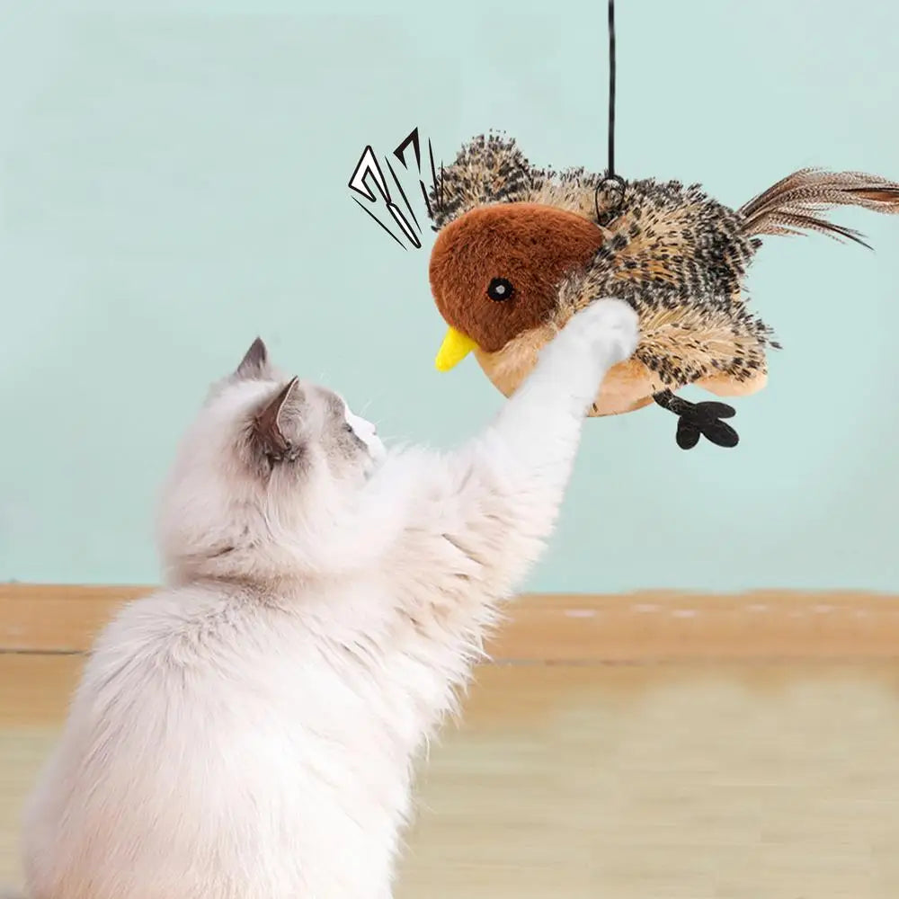 flying bird cat toy